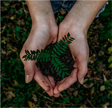 Sustainability