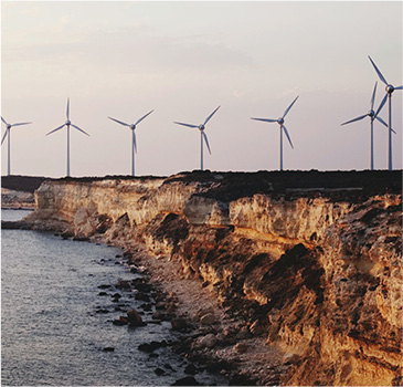 Eco Tourism